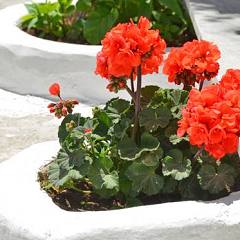 Budget Double Room in Naxos